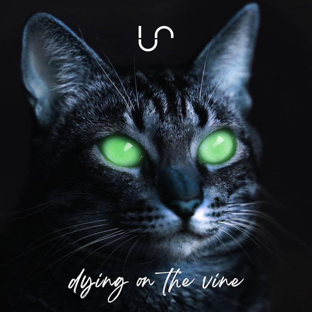 Unify Separate - «Dying on the Vine» (Single)